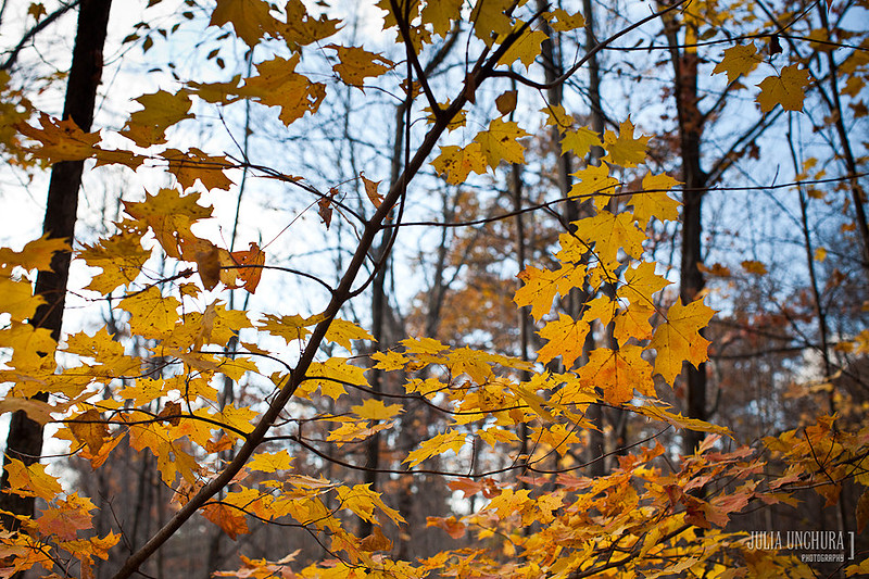 20111030-IMG_6486