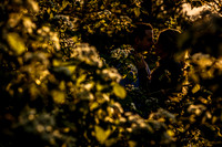 20150517-5D3_8638