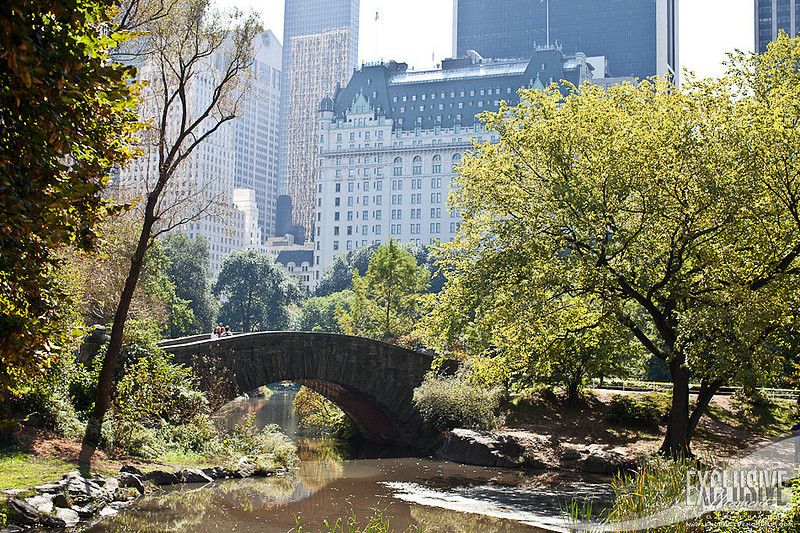 20111008-IMG_1693