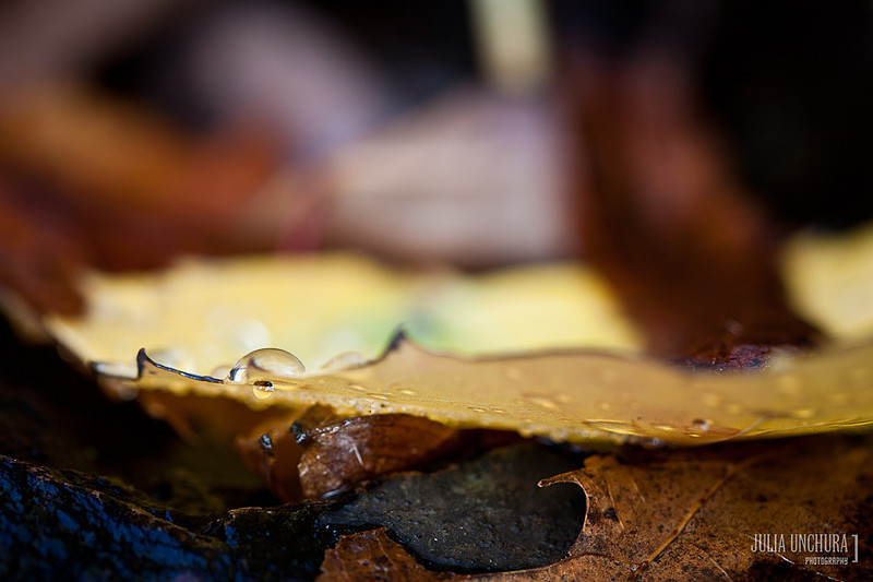 20111030-IMG_6482