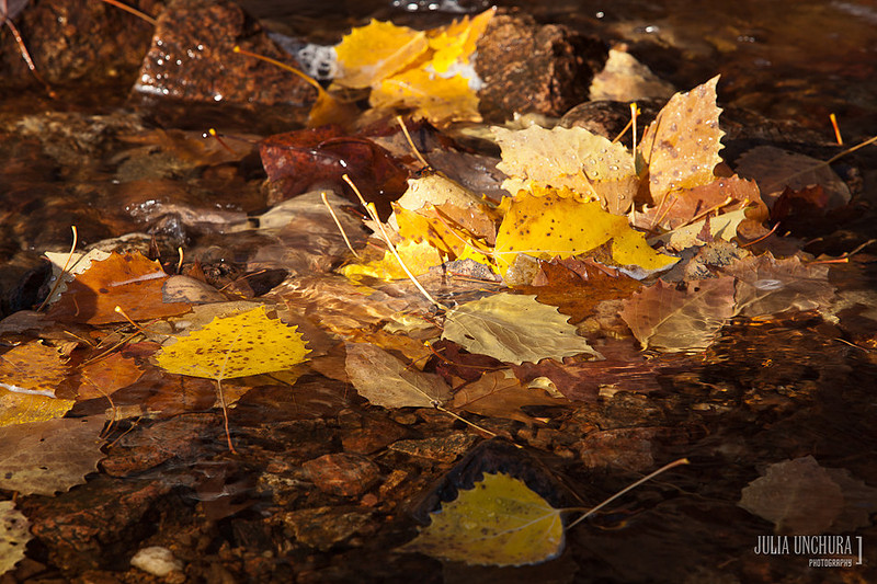 20111030-IMG_6427