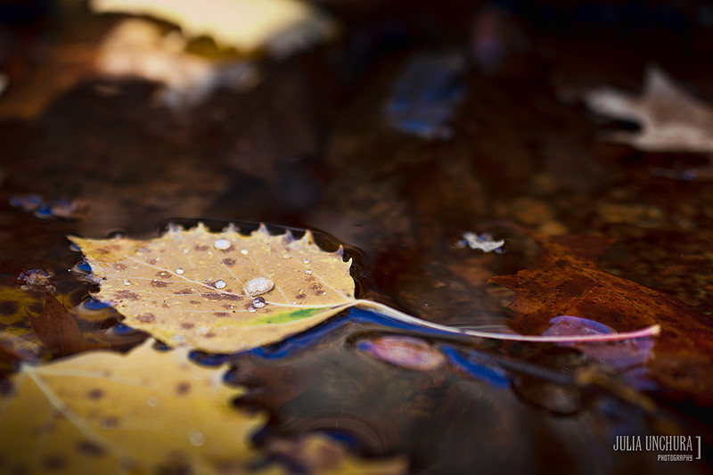 20111030-IMG_6433-Edit