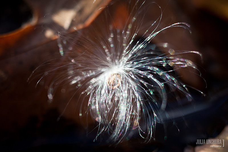 20111030-IMG_6441