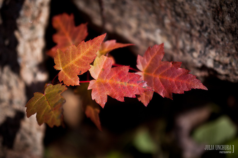 20111030-IMG_6436