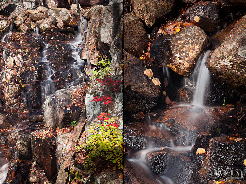 20111030-IMG_6455-Edit