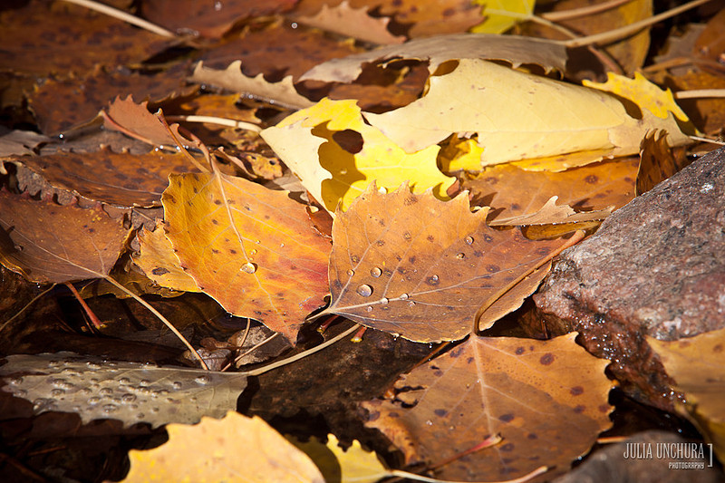 20111030-IMG_6430