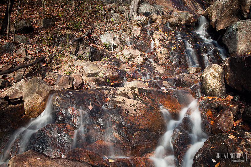 20111030-IMG_6465
