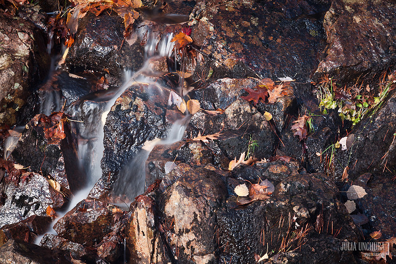 20111030-IMG_6451