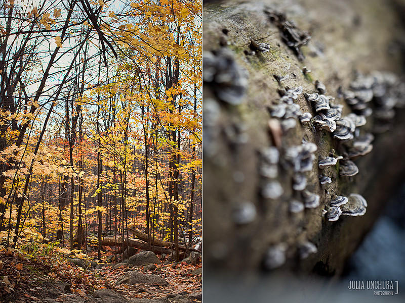 20111030-IMG_6471-Edit