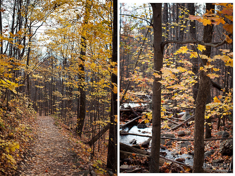 20111030-IMG_6488-Edit