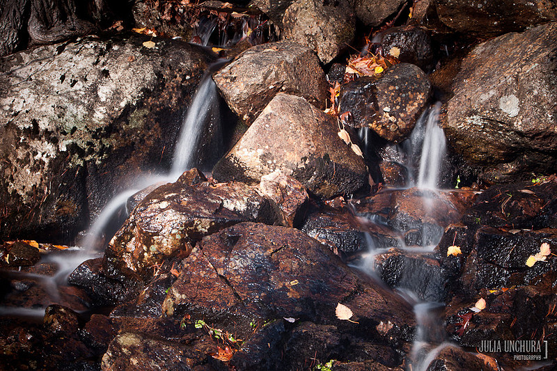 20111030-IMG_6450-2