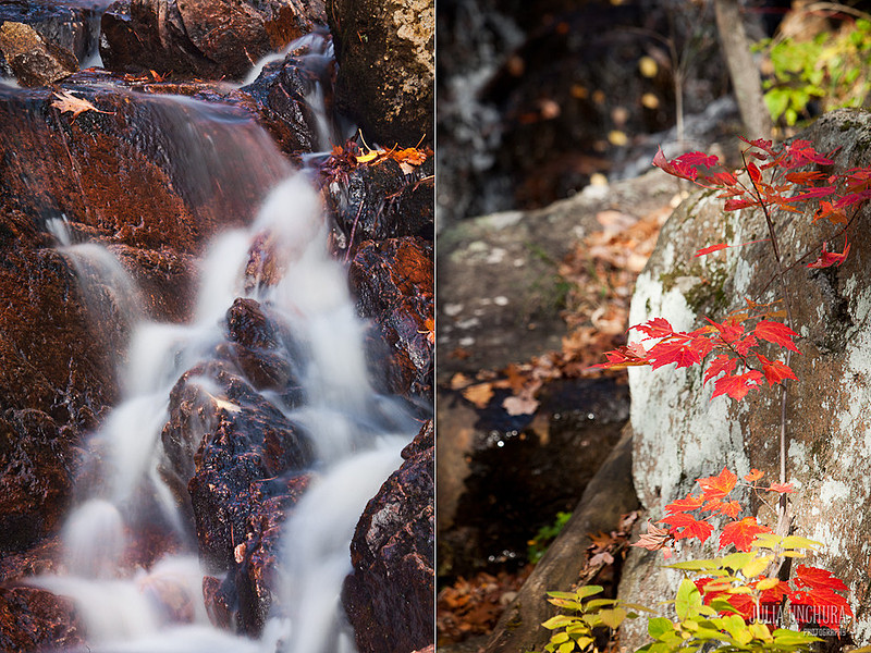 20111030-IMG_6456-Edit