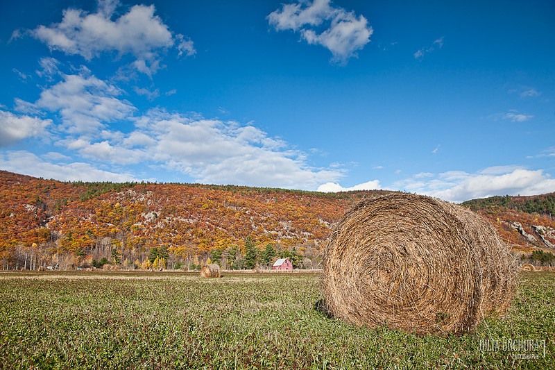 20111030-IMG_6498-Edit