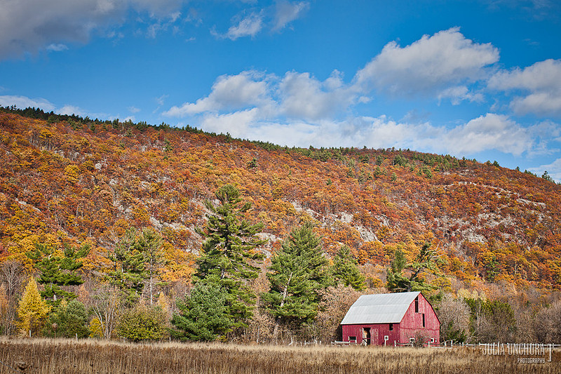 20111030-IMG_6491-Edit
